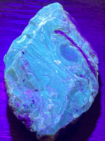 Fluorescent Blue Amber Palm Stone