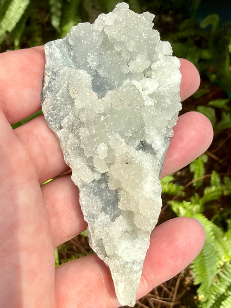 Apophyllite Cluster