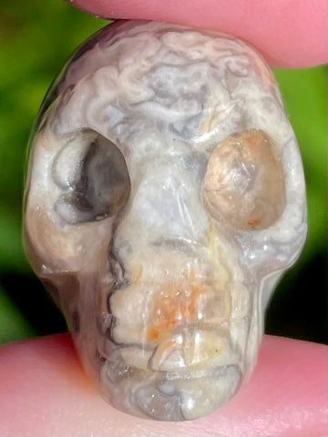 Small Crazy Lace Agate Skull - Morganna’s Treasures 