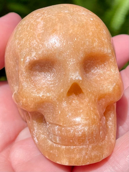 Carved Orange Calcite Skull - Morganna’s Treasures 