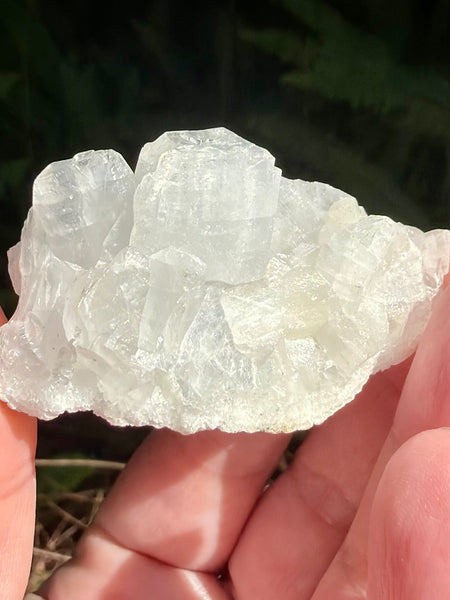 Apophyllite Cluster - Morganna’s Treasures