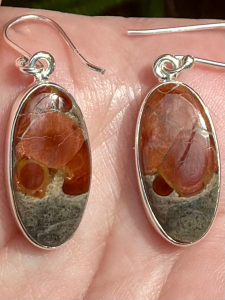 Peanut Obsidian Earrings - Morganna’s Treasures