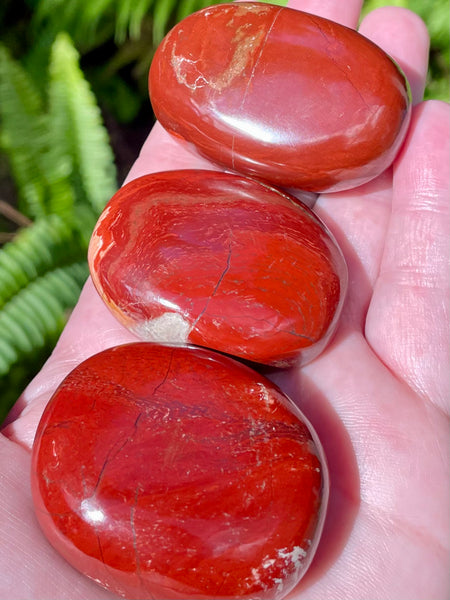 Snakeskin Jasper with Specular Hematite Palm Stone - Morganna’s Treasures