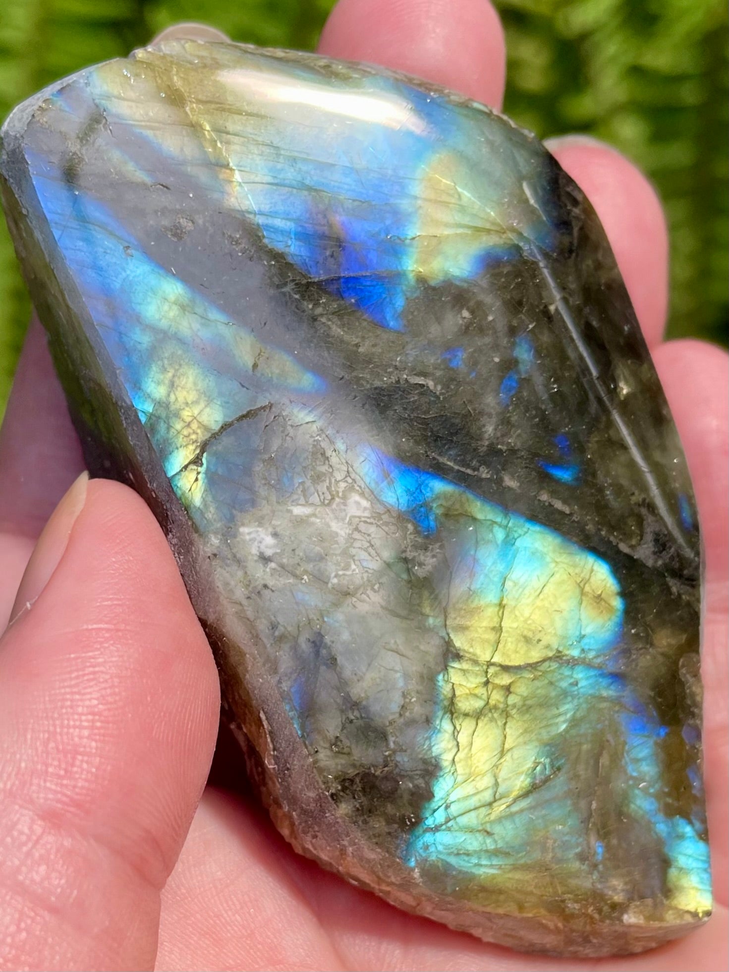 Gorgeous Labradorite Slab - Morganna’s Treasures 