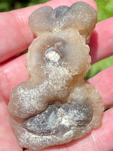 Botroyoidal Chalcedony Palm Stone - Morganna’s Treasures 