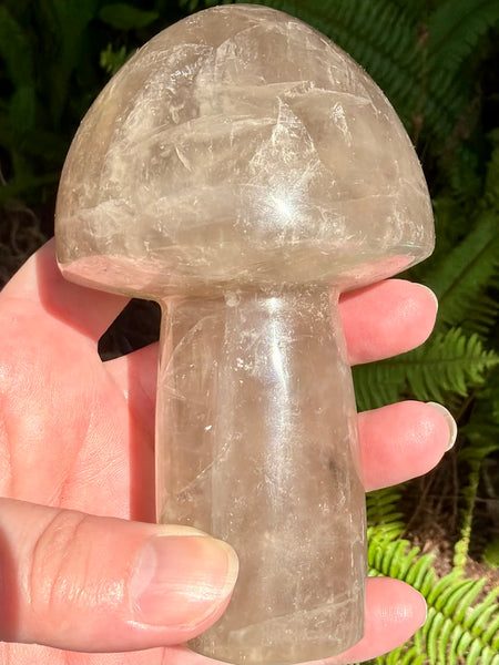 Gorgeous Smoky Quartz Mushroom - Morganna’s Treasures
