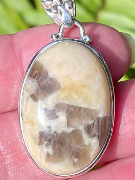 Peanut Wood Jasper Pendant