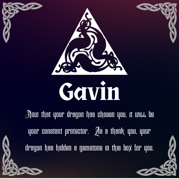 “Gavin” Dragon Protector