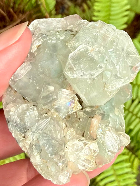 Apophyllite Cluster