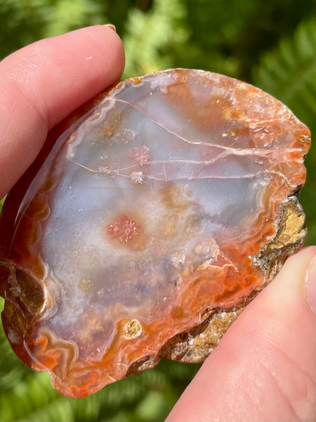 Candy Agate Palm Stone - Morganna’s Treasures 