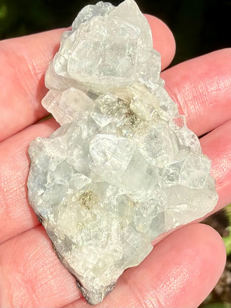 Apophyllite Cluster