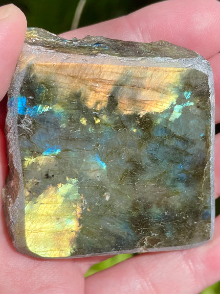 Gorgeous Labradorite Slab - Morganna’s Treasures