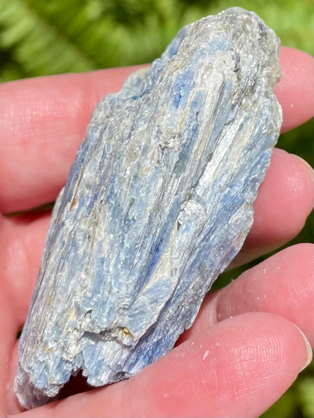 Rough Blue Kyanite - Morganna’s Treasures 