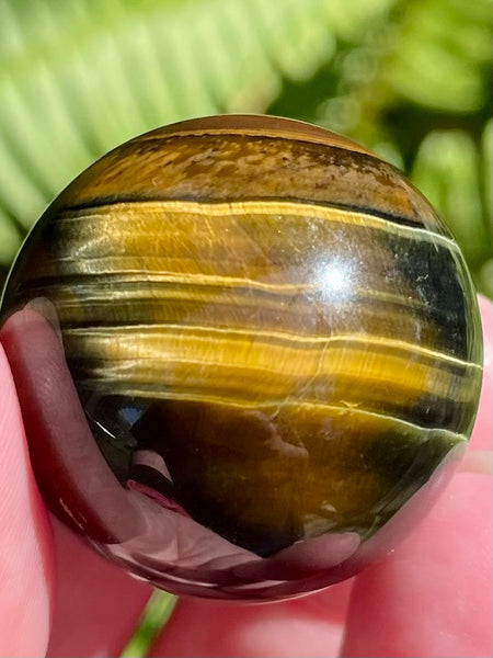 Tigers Eye Sphere - Morganna’s Treasures 