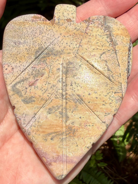 Picture Jasper Leaf