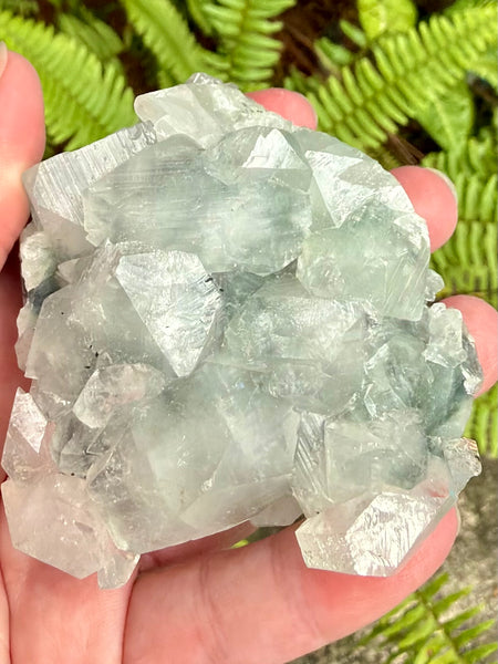 Apophyllite Cluster