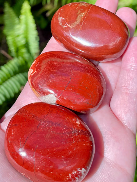 Snakeskin Jasper with Specular Hematite Palm Stone - Morganna’s Treasures