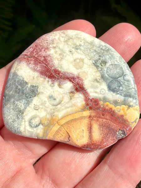 Bird's Eye Rhyolite Palm Stone - Morganna’s Treasures