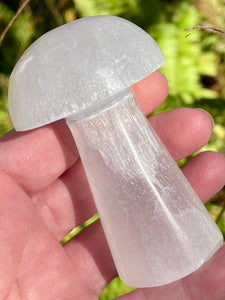 Selenite Mushroom