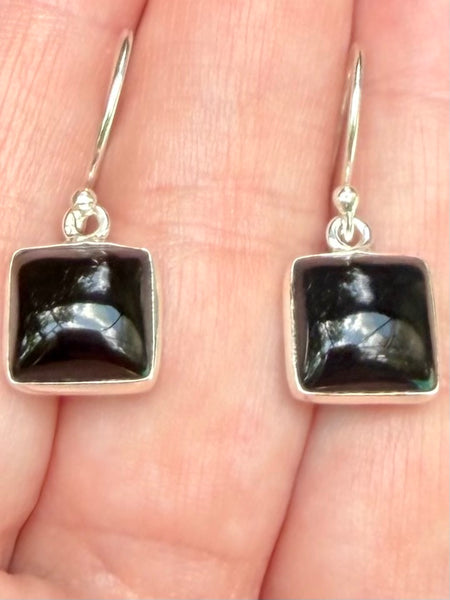 Black Onyx Earrings