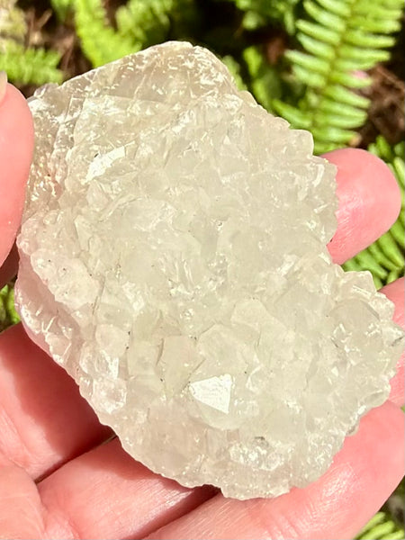 Apophyllite Cluster