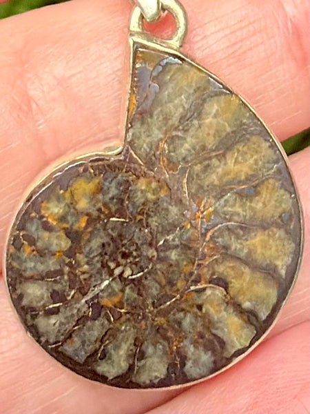 Fossil Quenstedtoceras Pyrite Ammonite Pendant