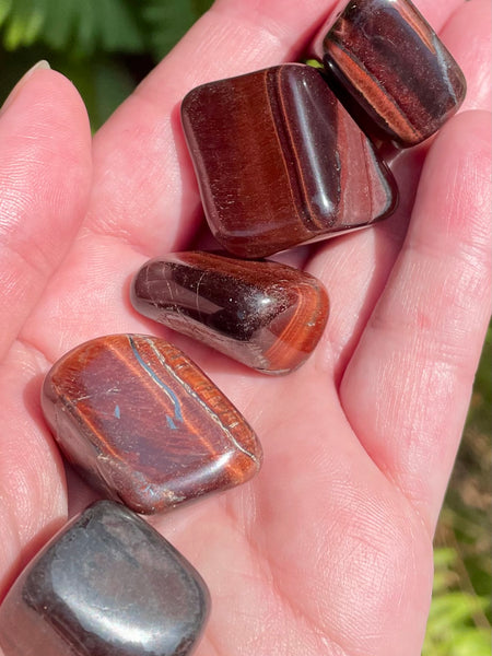 Red Tigers Eye Tumbled Stones - Morganna’s Treasures 