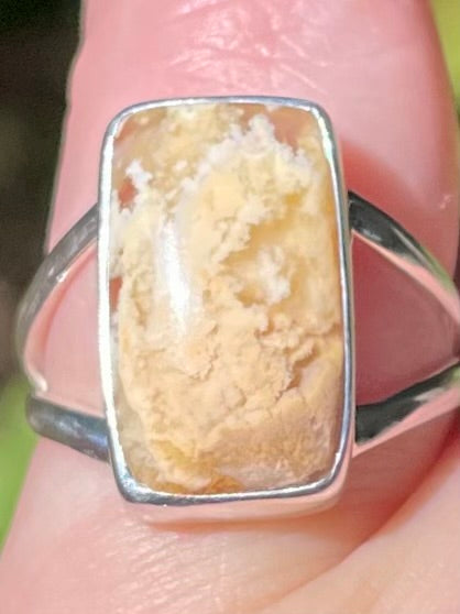 Graveyard Plume Agate Ring Size 6 - Morganna’s Treasures
