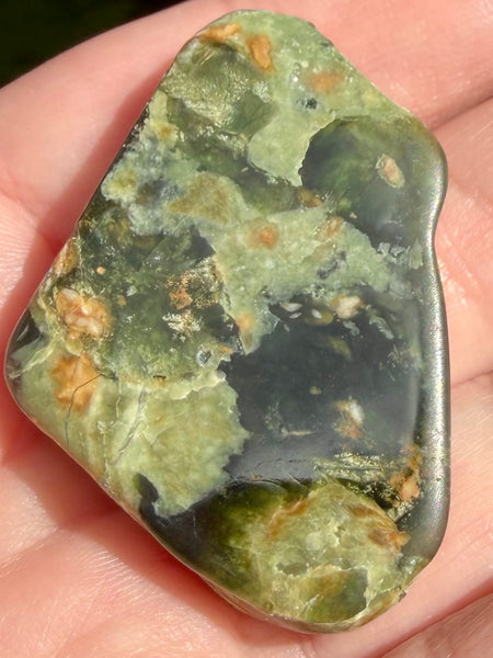 Rainforest Jasper Palm Stone