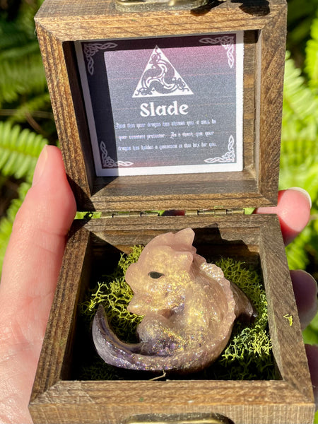 “Slade” Dragon Protector
