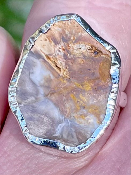 Rare Blue Forest Petrified Wood Ring Size 7 - Morganna’s Treasures