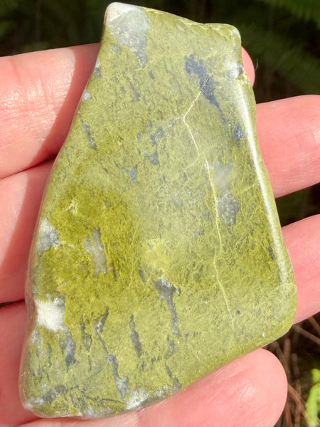 Epidote Palm Stone - Morganna’s Treasures