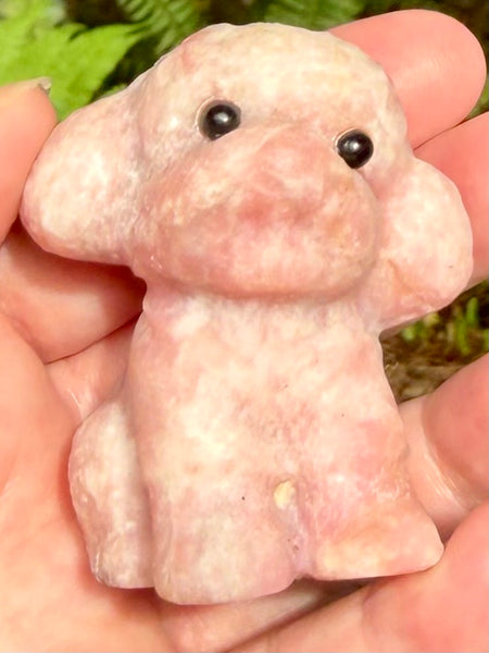 Pink Opal Poodle with Black Tourmaline Eyes