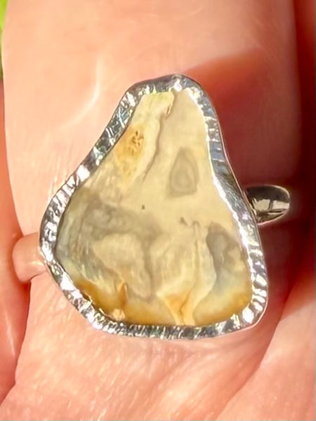 Rare Blue Forest Petrified Wood Ring Size 8 - Morganna’s Treasures