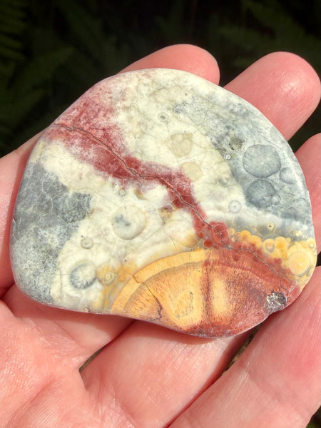 Bird's Eye Rhyolite Palm Stone - Morganna’s Treasures