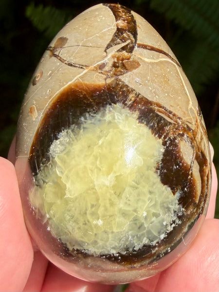 Septarian (Dragon Stone) Egg - Morganna’s Treasures