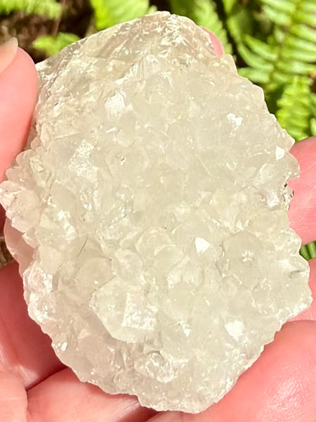 Apophyllite Cluster