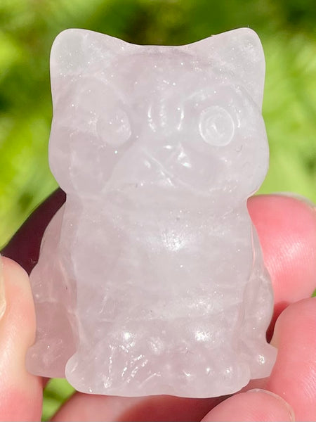 Rose Quartz Carved Cat - Morganna’s Treasures 