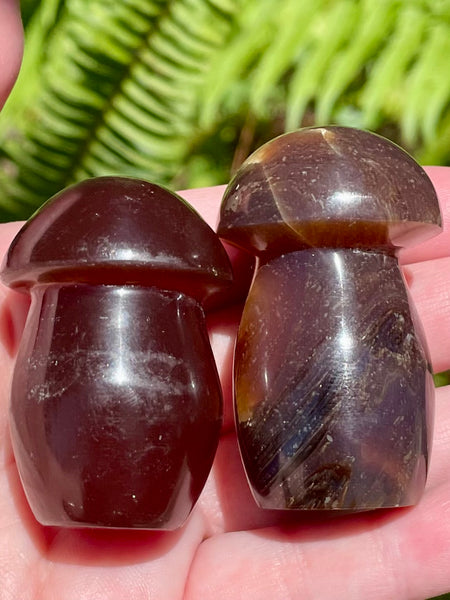 Fluorescent Blue Amber Mushroom - Morganna’s Treasures