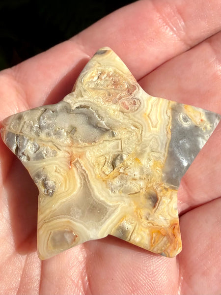 Crazy Lace Agate Druzy Star