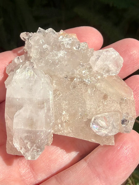 Apophyllite Cluster - Morganna’s Treasures