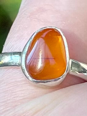 Baltic Amber Ring Size 7 - Morganna’s Treasures