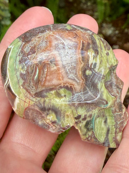 Money Agate Skull