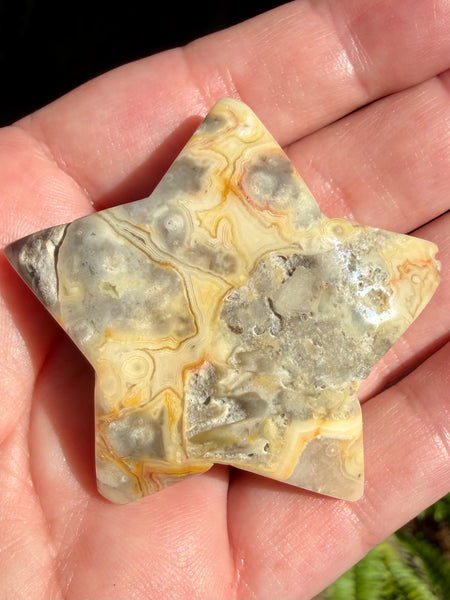 Crazy Lace Agate Druzy Star