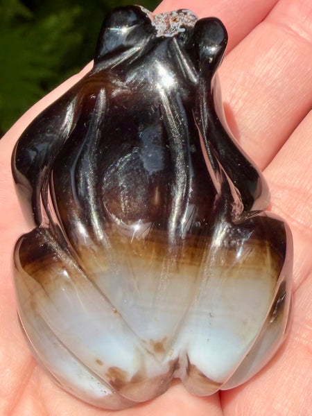 Botswana Agate Frog - Morganna’s Treasures