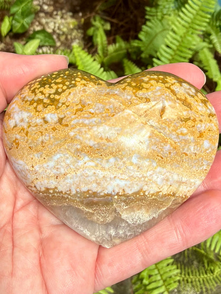 Ocean Jasper Heart Palm Stone