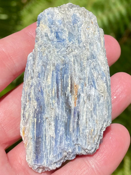 Rough Blue Kyanite - Morganna’s Treasures 