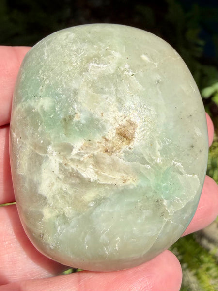 Garniérite Palm Stone