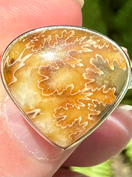Beautiful Sutured Ammonite Ring Size 7