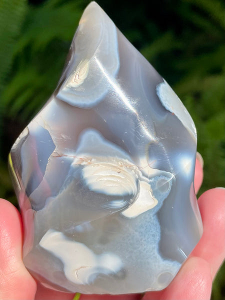 Orca Agate Flame - Morganna’s Treasures